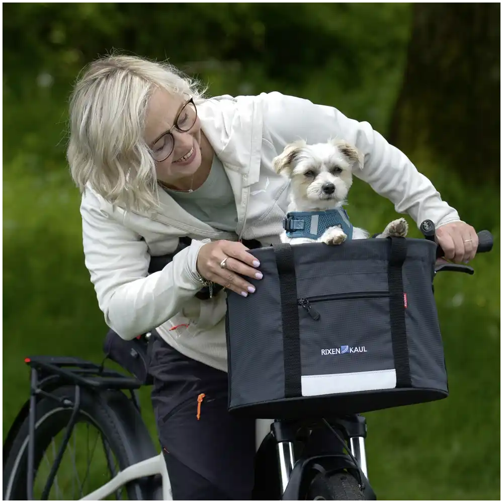 KLICKfix Doggy  grau Hundetasche