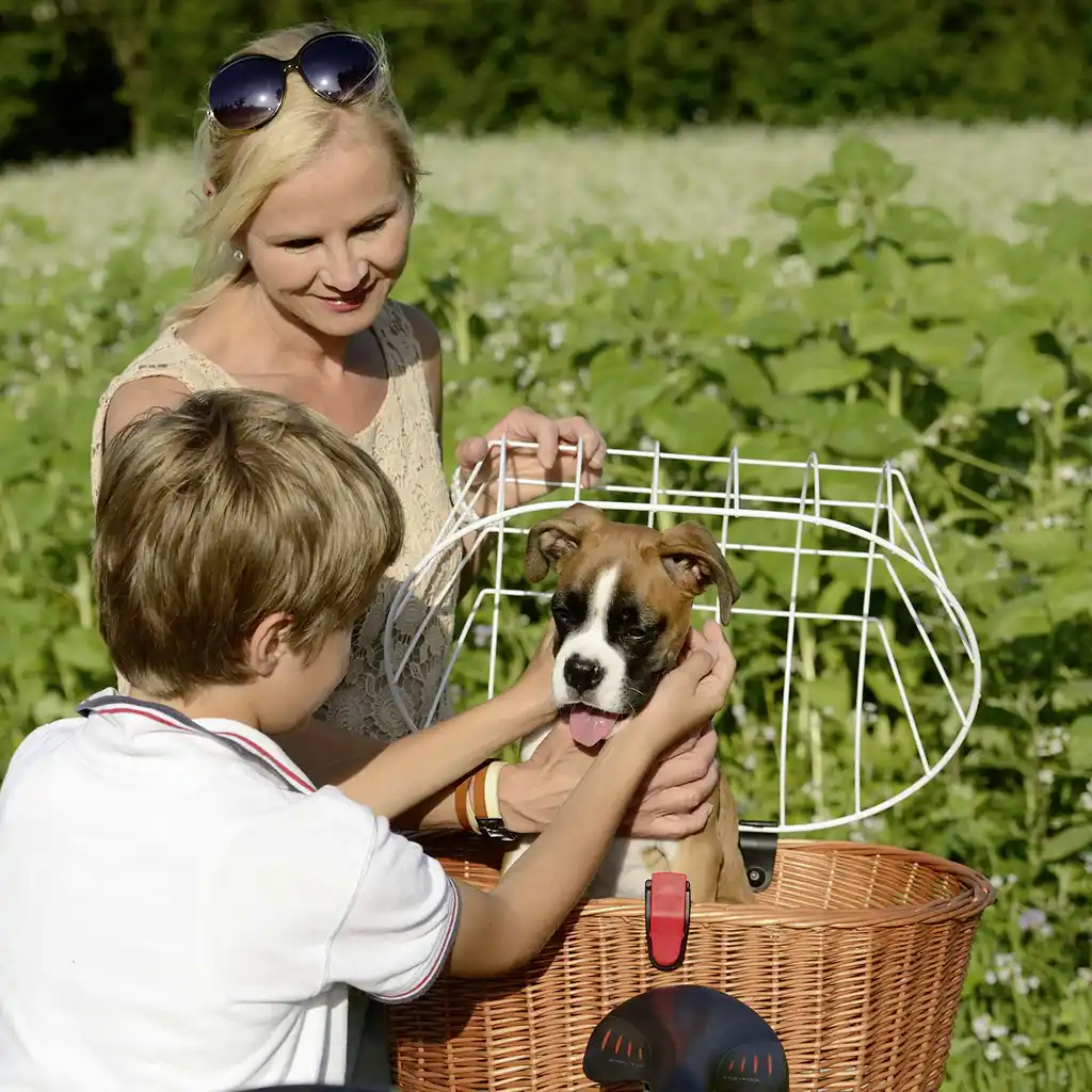 KLICKfix Doggy Basket Tierkorb mit KLICKfix Bodenkupplung für Racktime Gepäckträger braun