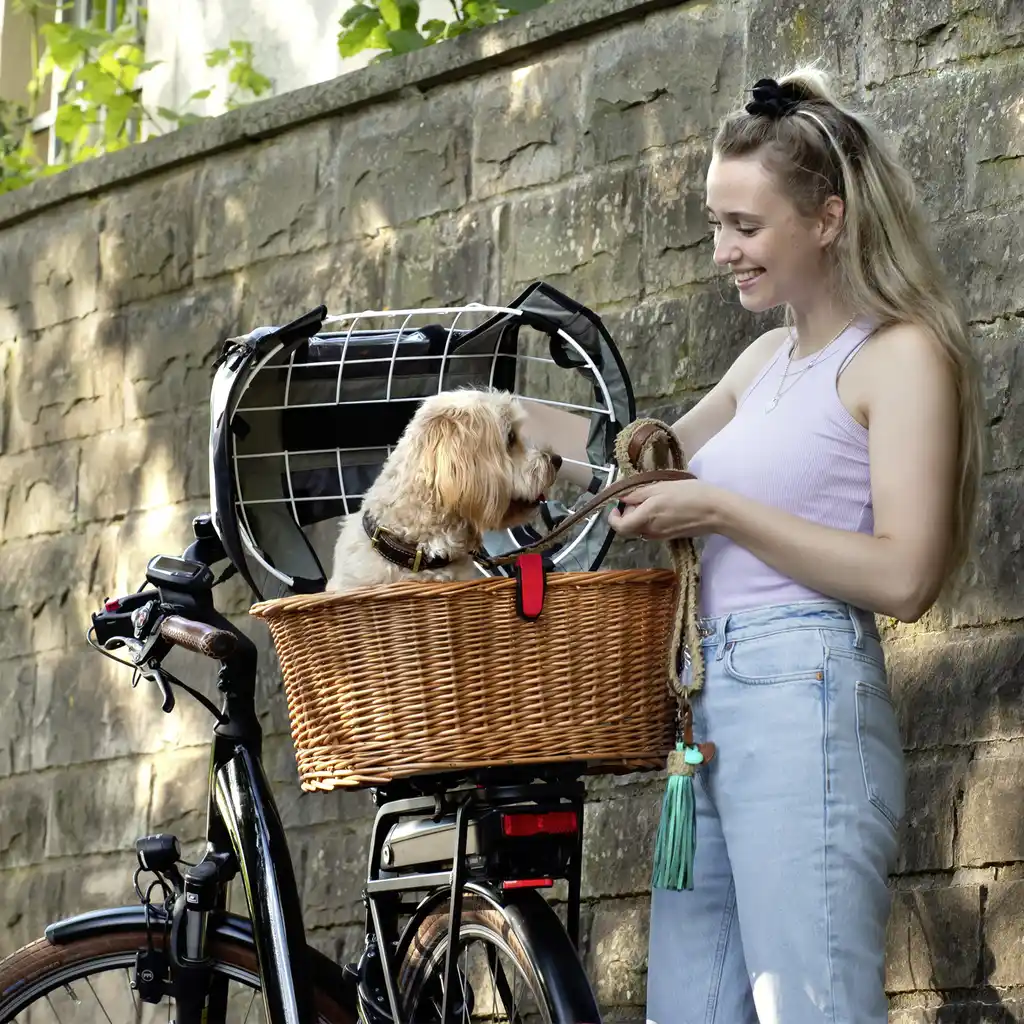 KLICKfix Tierkorb Doggy Basket mit KLICKfix Bodenkupplung für Racktime Gepäckträger, inkl. Wetterschutz braun
