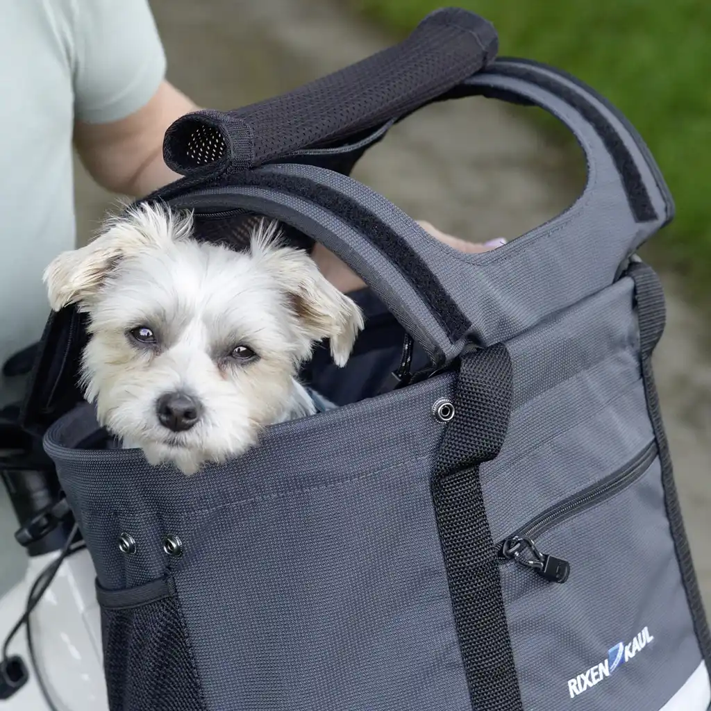 KLICKfix Tiertasche Doggy Sunshade  schwarz
