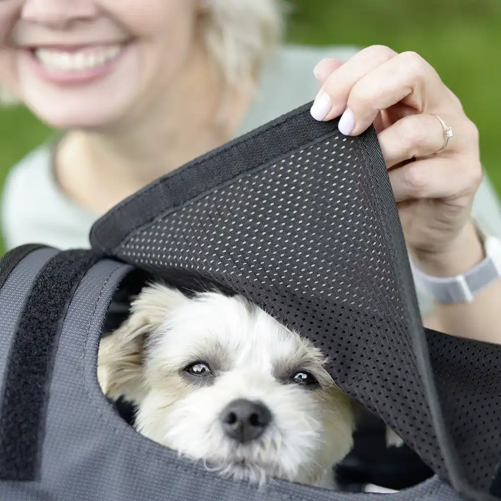 KLICKfix Tiertasche Doggy Sunshade  schwarz