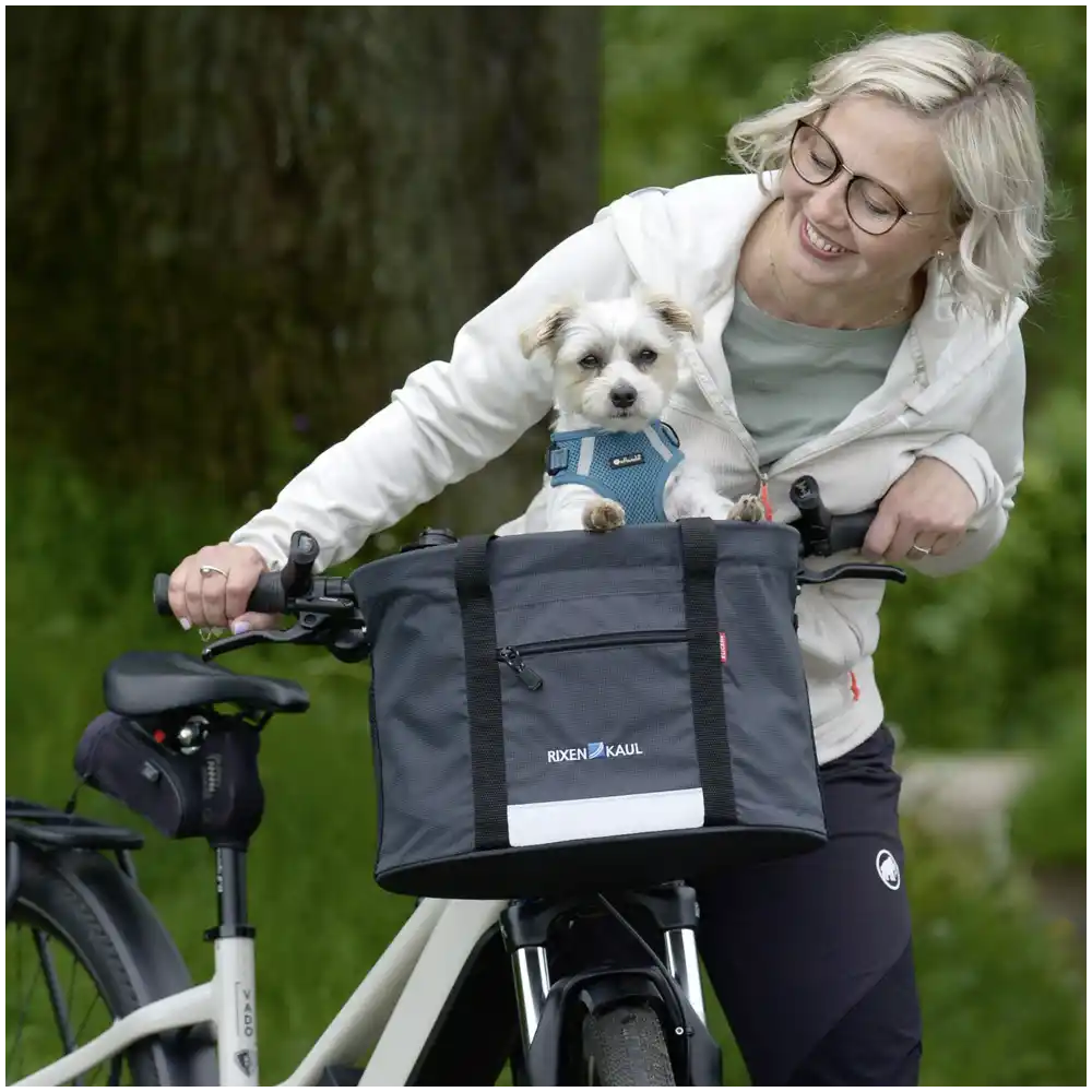 KLICKfix Doggy  grau Hundetasche